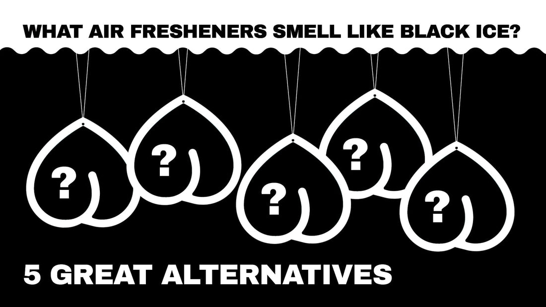 What Air Fresheners Smell Like Black Ice? 5 Great Alternatives - Fat Ass Store