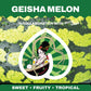Geisha Melon - Air Freshener - Fat Ass Store